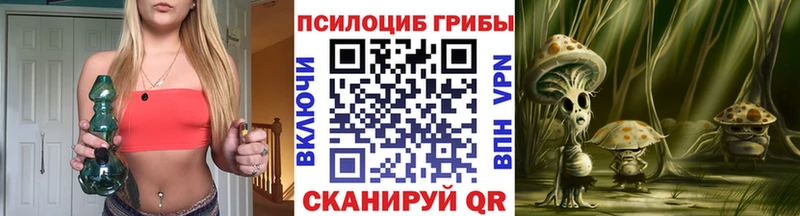 Псилоцибиновые грибы ЛСД  Купить где  Сочи 